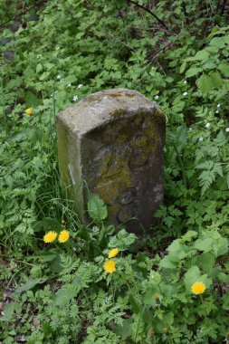 Taş ev terk edilmiş