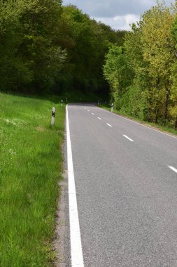 Ormanda yol