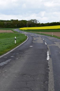 Kırsal kesimde asfalt yol, kırsal yol, yeşil alanlar.