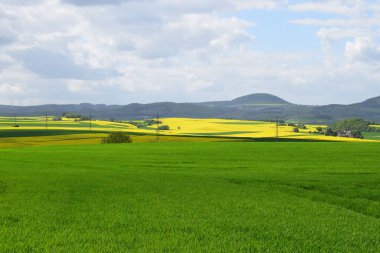 Yazın kırsal alanların manzarası