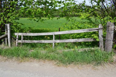 Tahta çitler ve yeşil çimenler parktaydı.