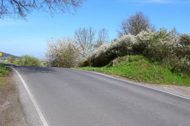 Ormanda güzel bir yol