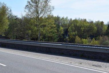 Ağaçlarla dolu bir yol ve arka planda gökyüzü