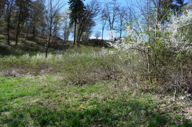 Güzel bir manzara manzarası