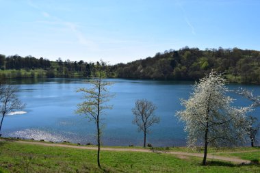 Parktaki göl ve mavi gökyüzü