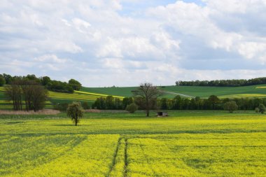 Tecavüz ve yeşil ağaçlarla dolu bir arazi.