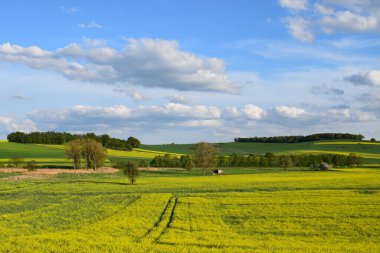 İlkbaharda kırsalda yeşil alanlar