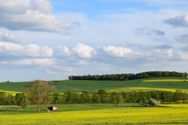 Yeşil çimenli ve tarlalı güzel bir manzara.