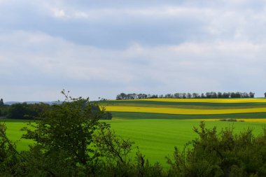 Almanya 'da sarı ve mavi gökyüzü