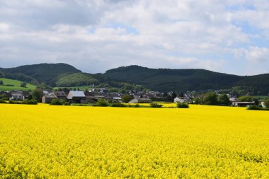 Köyde tecavüz olayı var.