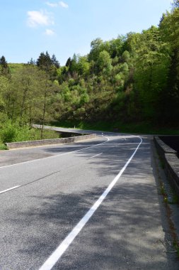 Ormanda boş asfalt yol