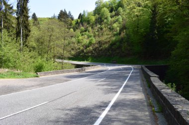 Yol, yol ve ağaçlarla dolu güzel bir dağ manzarası
