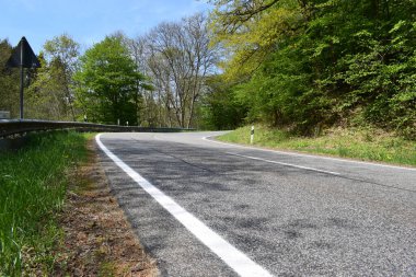 dağlarda ormanda yol