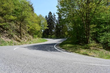 Ormanda güzel bir yol