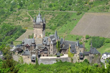 Reichsburg 'daki Mosel Vadisi.