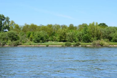 Almanya 'da Ren nehri kıyısında..