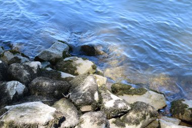 Güzel deniz kıyısı. seyahat arkaplanı
