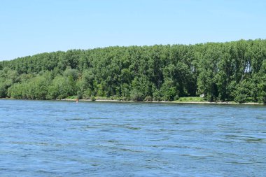 Güneşli bir günde nehir kıyısında