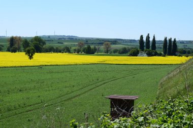 İlkbaharda kırsal alanda manzara
