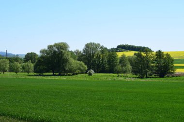 Doğanın güzel manzarası