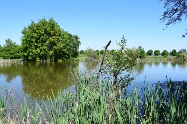 Güzel göl manzarası