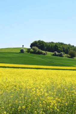 Mavi gökyüzü ile yeşil alan