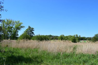 Parkın güzel manzarası