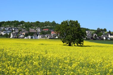 Köyü olan güzel bir manzara