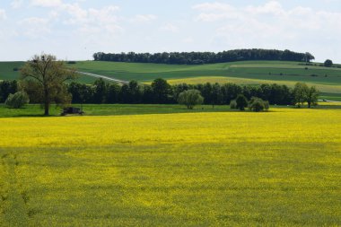 Çek Cumhuriyeti 'nin manzarası