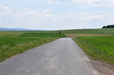 Yeşil çimlerin arasında bir yol