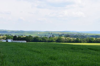 Arkaplanda yeşil bir buğday ve mavi gökyüzü manzarası