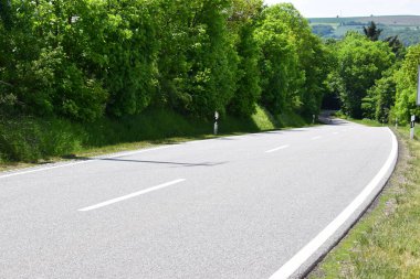 Yeşil bir ormanın içinden geçen yol. yaz günü