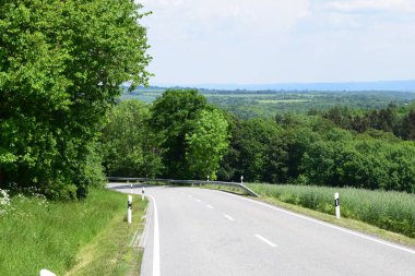 Ormanda yolu olan güzel bir manzara.