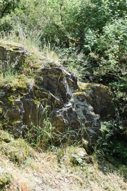 Dağlardaki orman dağının güzel manzarası.