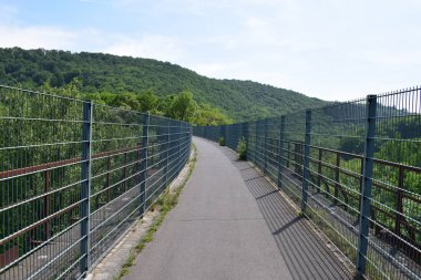 Güneşli bir günde ormanda bir köprü.