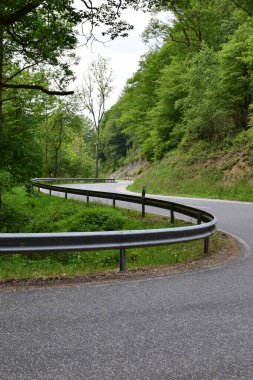 Ormanda boş asfalt yol