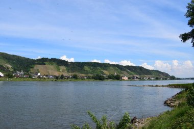 scenic view of the Rhine with vineyards clipart