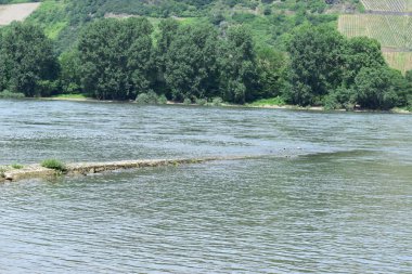 Ren nehri Almanya 'da Rheinau yakınlarında.