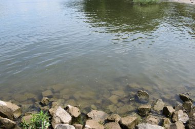 Güzel göl manzarası