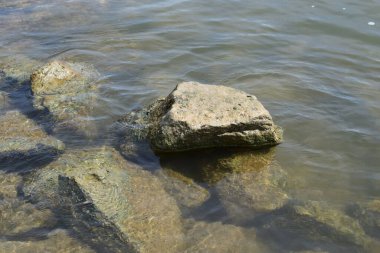 Deniz kıyısında taş