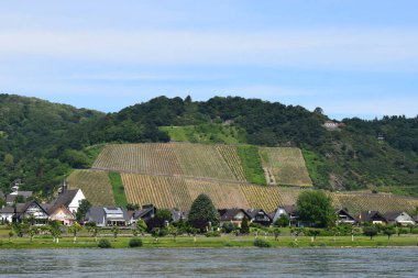 Leutesdorf at the RHine