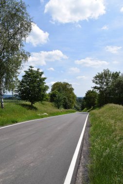 Kırsal kesimde kırsal kesimde kırsal kesimde güneşli bir günde ağaçlar ve çimenler