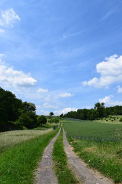 Bulutlu mavi gökyüzünün altında yeşil bir tarlanın güzel bir görüntüsü.