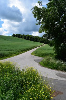 Yeşil bir tarlanın güzel bir görüntüsü.
