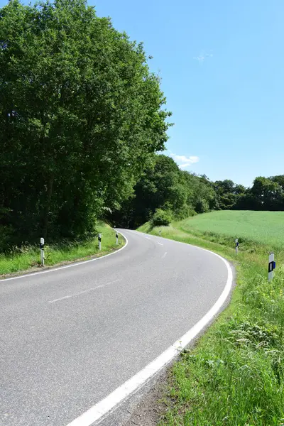 Kırsal yol ve ortada yeşil çimenler, kırsalda güneşli bir gün, kırsalda kuzey İrlanda