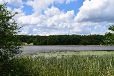 Baharda Caldera Gölü Rodder Maar