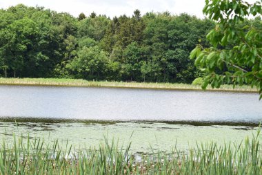 Baharda Caldera Gölü Rodder Maar