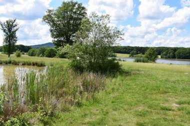 Baharda Caldera Gölü Rodder Maar