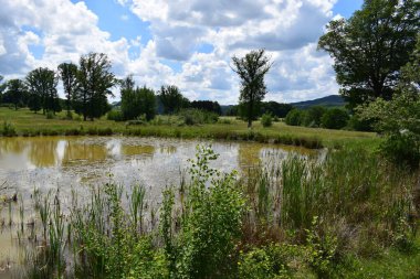 Baharda Caldera Gölü Rodder Maar