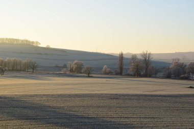 Arka planda ağaç olan güzel bir manzara.